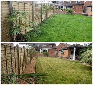 Milton Keynes Professional Work